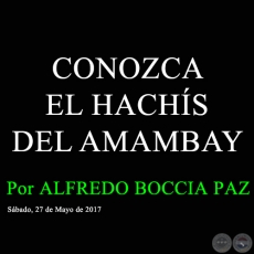 CONOZCA EL HACHS DEL AMAMBAY - Por ALFREDO BOCCIA PAZ - Sbado, 27 de Mayo de 2017